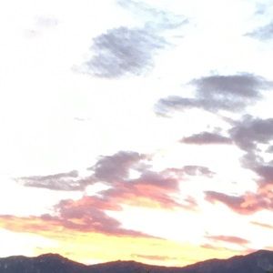 Meet your Posher, Aviaunna